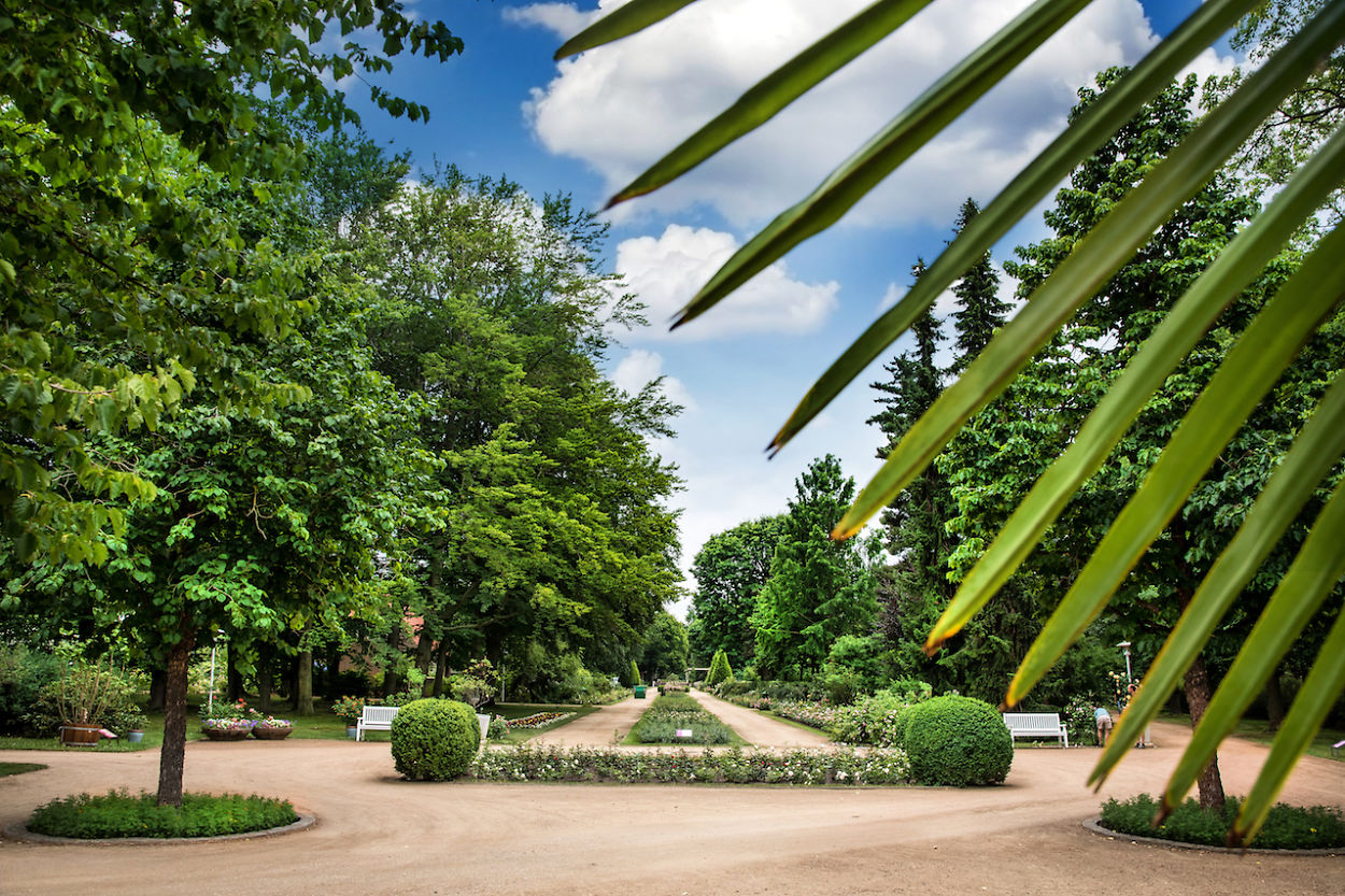 Ostdeutscher Rosengarten Forst (Lausitz) Rosenpark